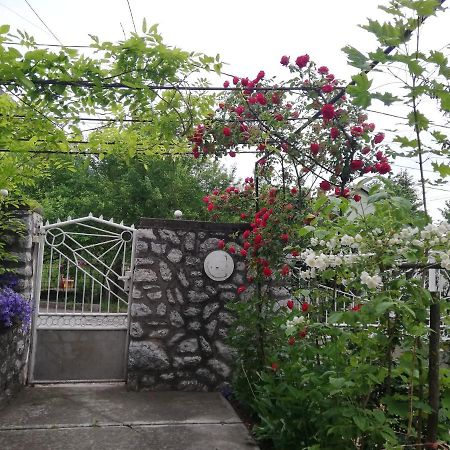 Fuege Vendeghaz Otel Miskolc Dış mekan fotoğraf