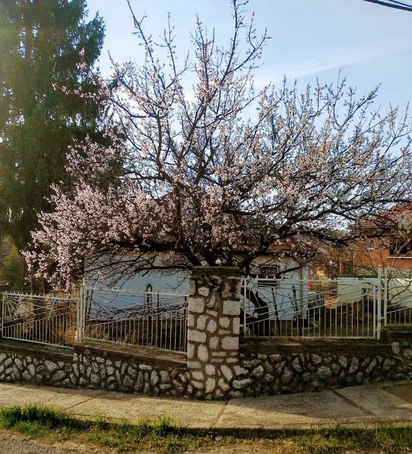 Fuege Vendeghaz Otel Miskolc Dış mekan fotoğraf